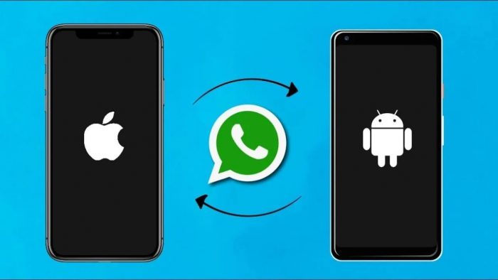 [100% working] How to transfer Whatsapp from iPhone to Android