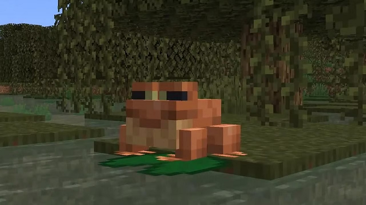 How Long Does It Take for Frog Eggs to Hatch in Minecraft?